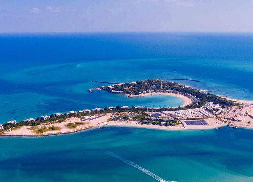 Abu Dhabi Island Paradise: Navigating the Mangroves