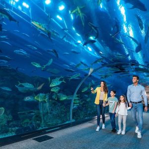 Dubai Aquarium And Underwater Zoo
